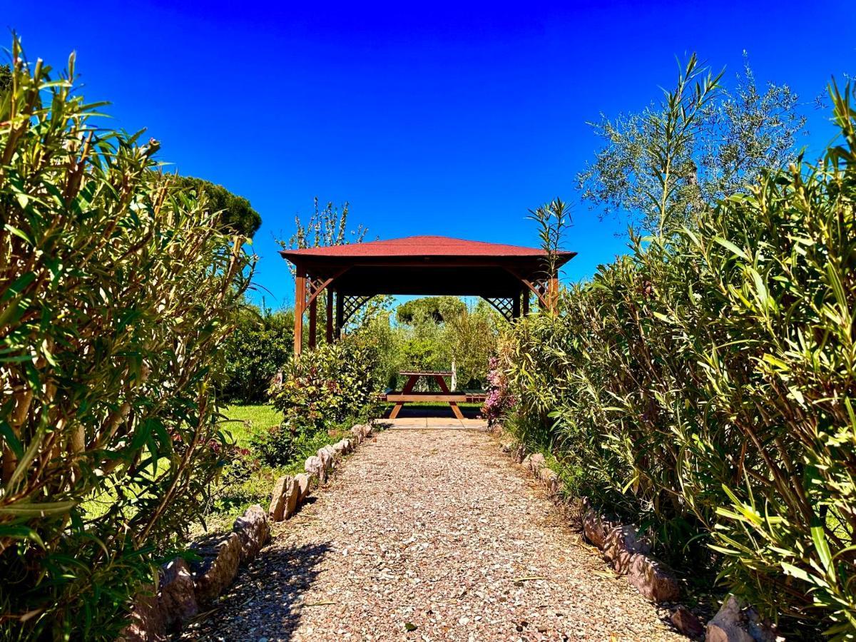 Agriturismo Re Di Fiori Donoratico Extérieur photo