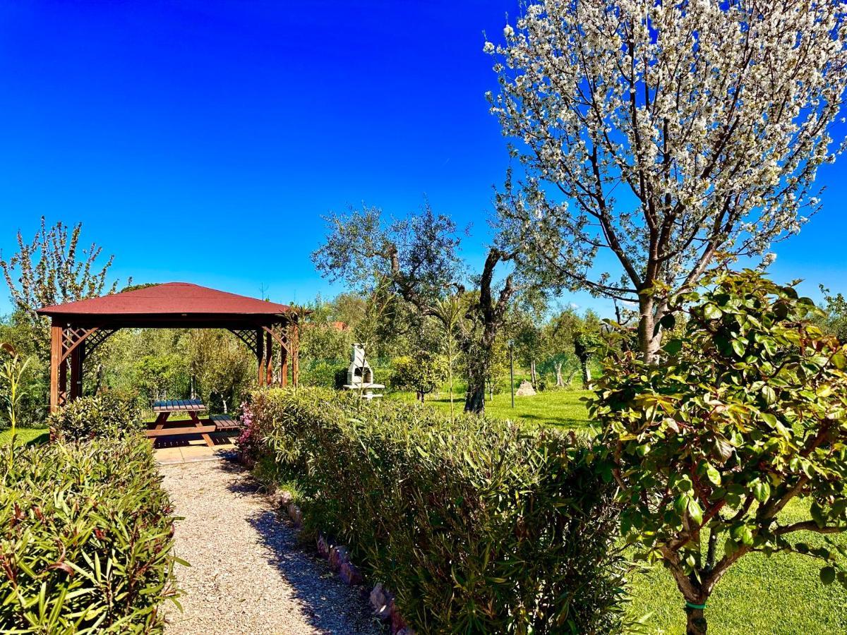Agriturismo Re Di Fiori Donoratico Extérieur photo
