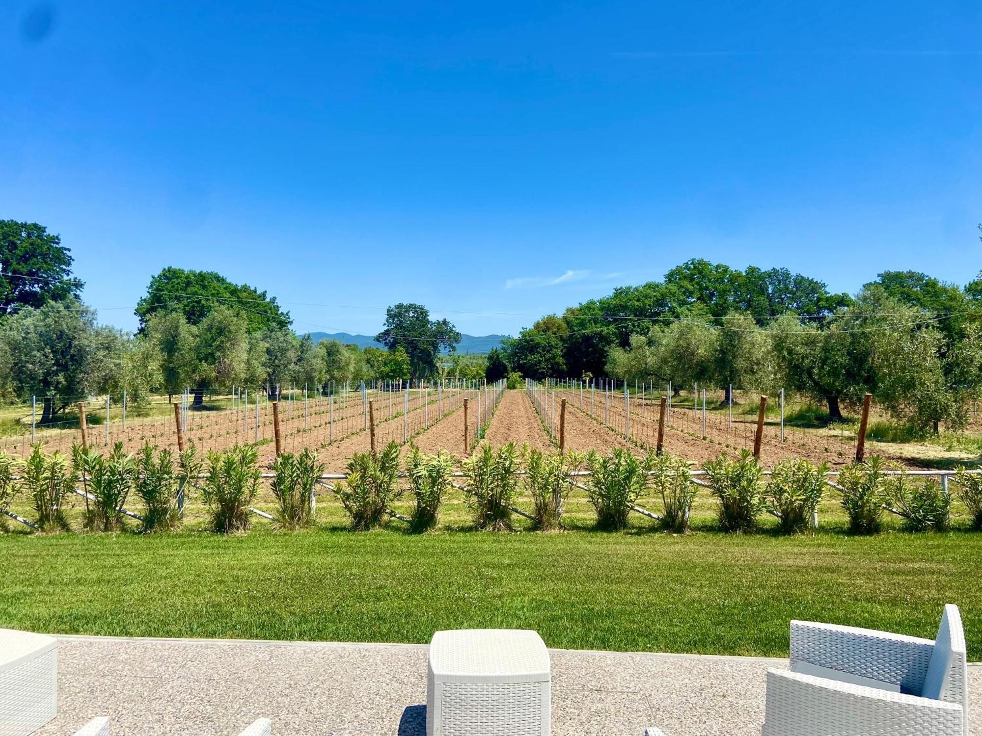 Agriturismo Re Di Fiori Donoratico Extérieur photo