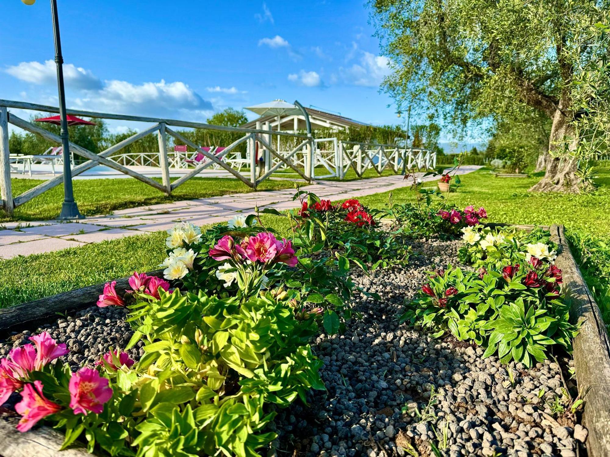 Agriturismo Re Di Fiori Donoratico Extérieur photo
