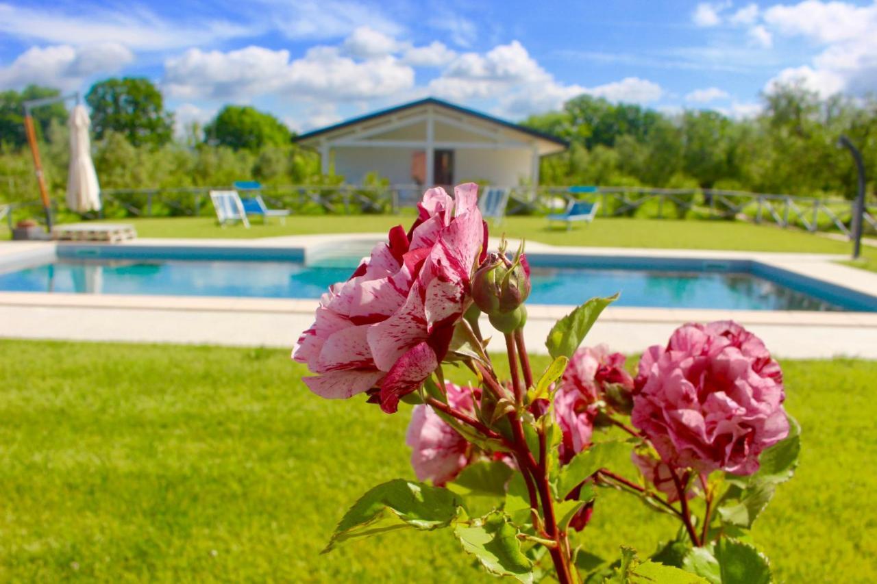 Agriturismo Re Di Fiori Donoratico Extérieur photo