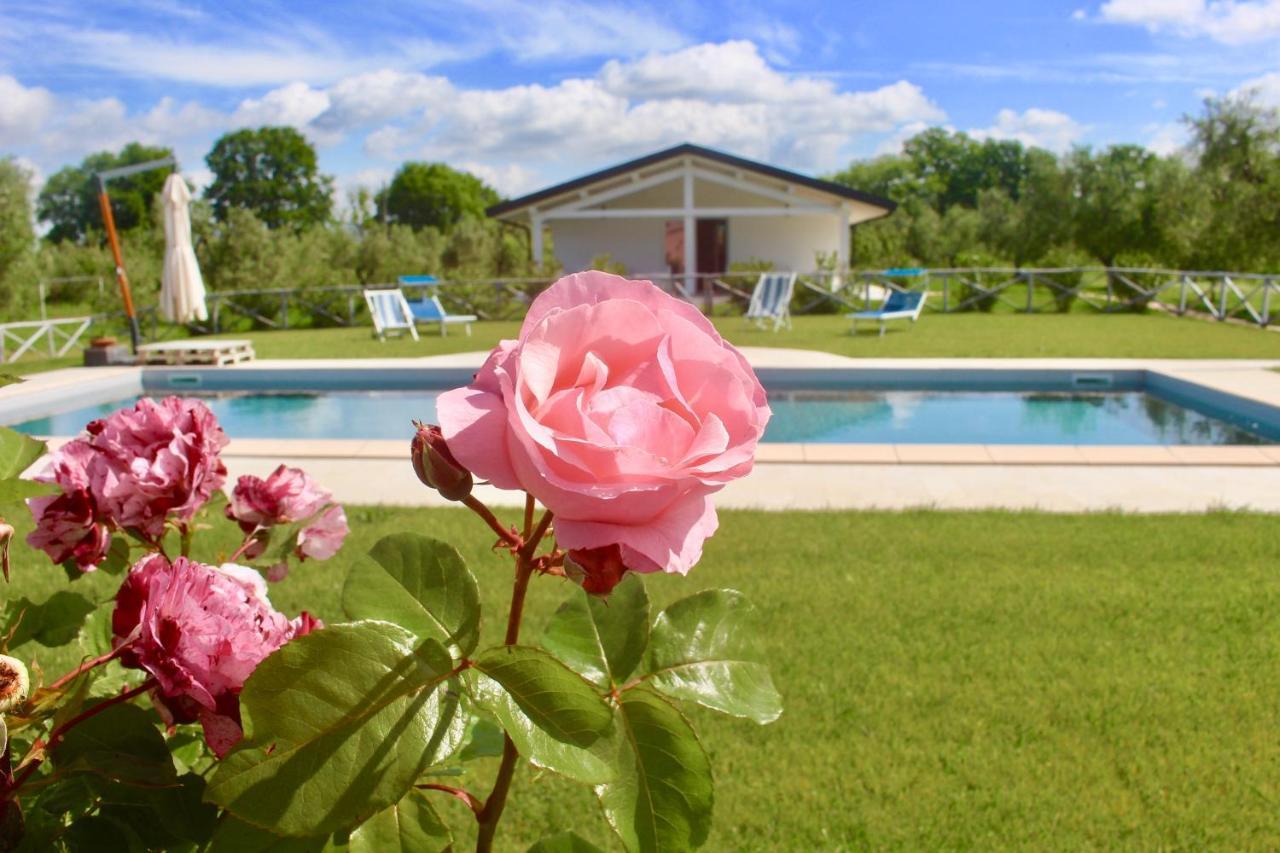 Agriturismo Re Di Fiori Donoratico Extérieur photo